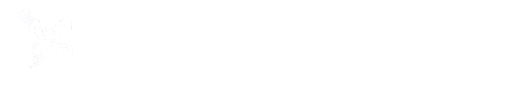 Blue Bird Travels